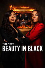 Beauty in Black (Season 1 – 3) Complete Dual Audio {Hindi-English} NetFlix Series 480p, 720p & 1080p WEB-DL