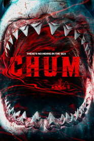 Chum (2026) BluRay Dual Audio {Hindi-English} 480p [350MB] | 720p [860MB] | 1080p [1.7GB]