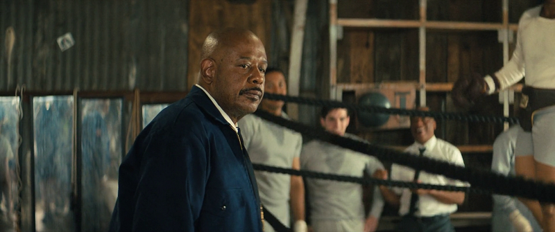 download big george foreman (2023) bluray dual audio {hindi-english} 480p [450mb] | 720p [1.2gb] | 1080p [2.6gb]