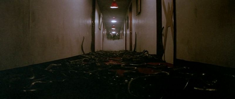 download calamity of snakes (1982) bluray dual audio {hindi-english} 480p [310mb] | 720p [1gb] | 1080p [1.6gb]