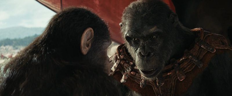 download kingdom of the planet of the apes (2024) dual audio (hindi dd 5.1 – english 5.1 dd) 480p 720p 1080p & 2160p 4k sdr full-movie