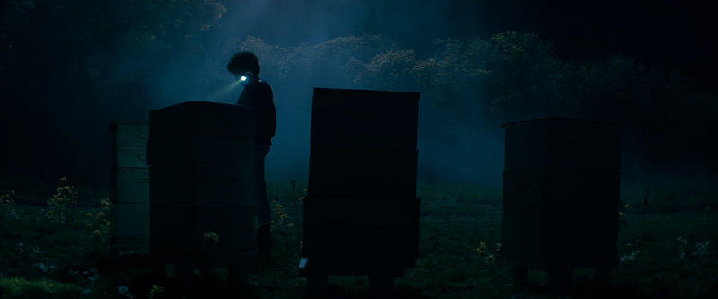 download the beekeeper (2024) web-dl {english with subtitles} full movie 480p [350mb] | 720p [900mb] | 1080p [2gb]