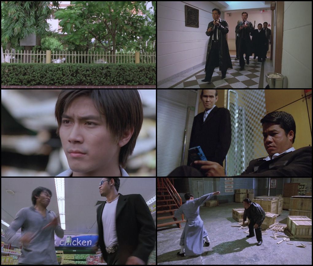 download the bodyguard (2004) web-dl dual audio {hindi-thai} 480p [300mb] | 720p [800mb] | 1080p [2.5gb]