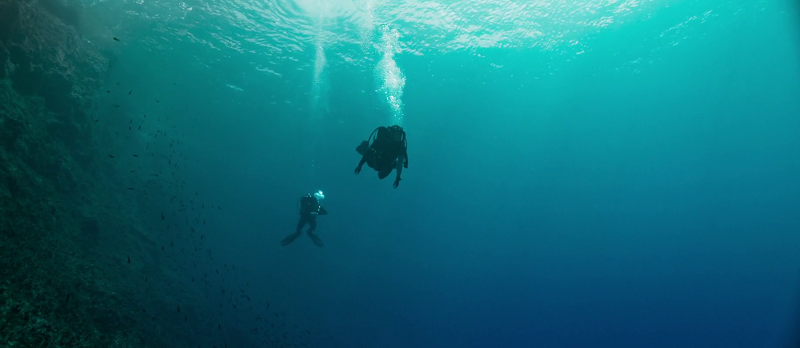 download the dive (2023) web-dl {english with subtitles} full movie 480p [300mb] | 720p [750mb] | 1080p [1.8gb]