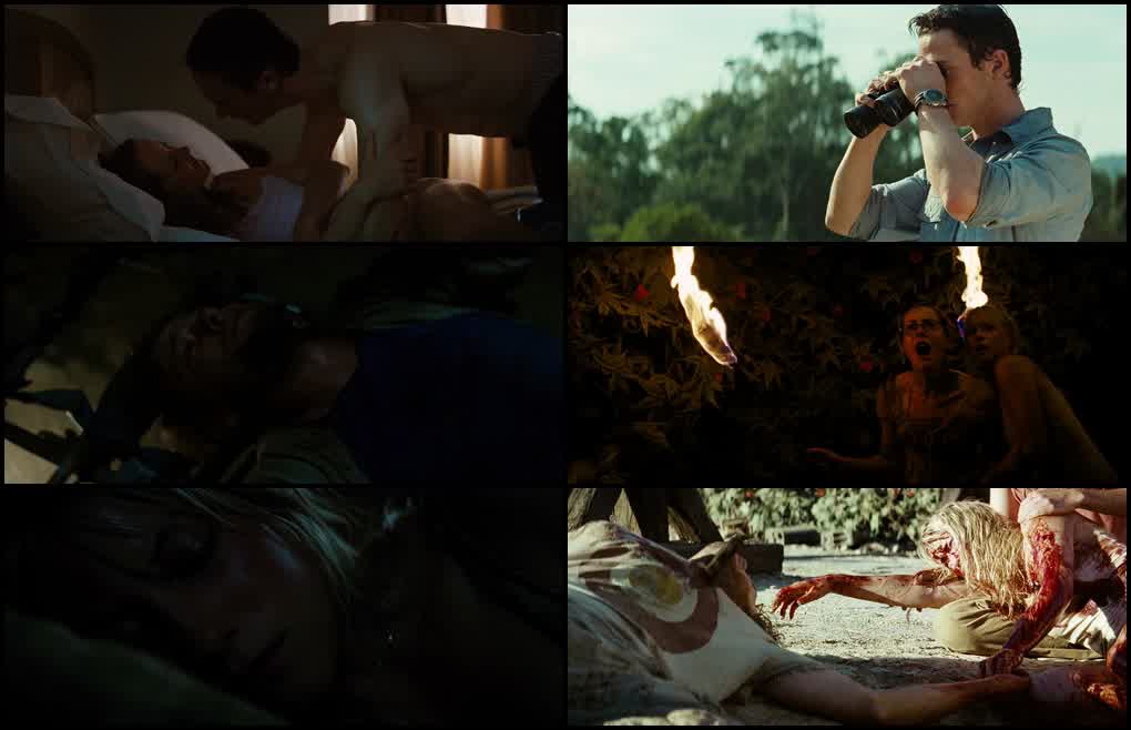 download the ruins (2008) dual audio {hindi-english} bluray 480p [300mb] | 720p [700mb] | 1080p [1.7gb]