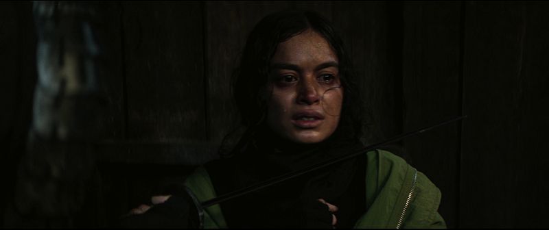 download the shadow strays | netflix original (2024) web-dl dual audio {hindi-english} 480p [520mb] | 720p [1.4gb] | 1080p [2.3gb] | 10bit hevc + x264 + h264