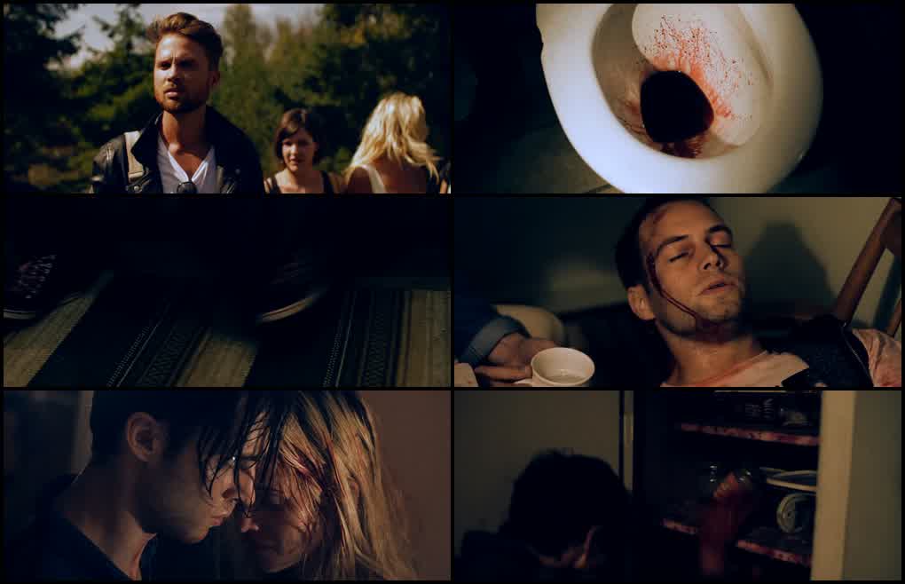 download wither (2012) dual audio {hindi-english} bluray 480p [350mb] | 720p [850mb] | 1080p [1.9gb]